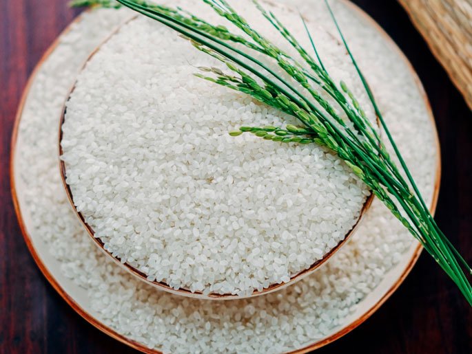 Japanese or Calrose Rice